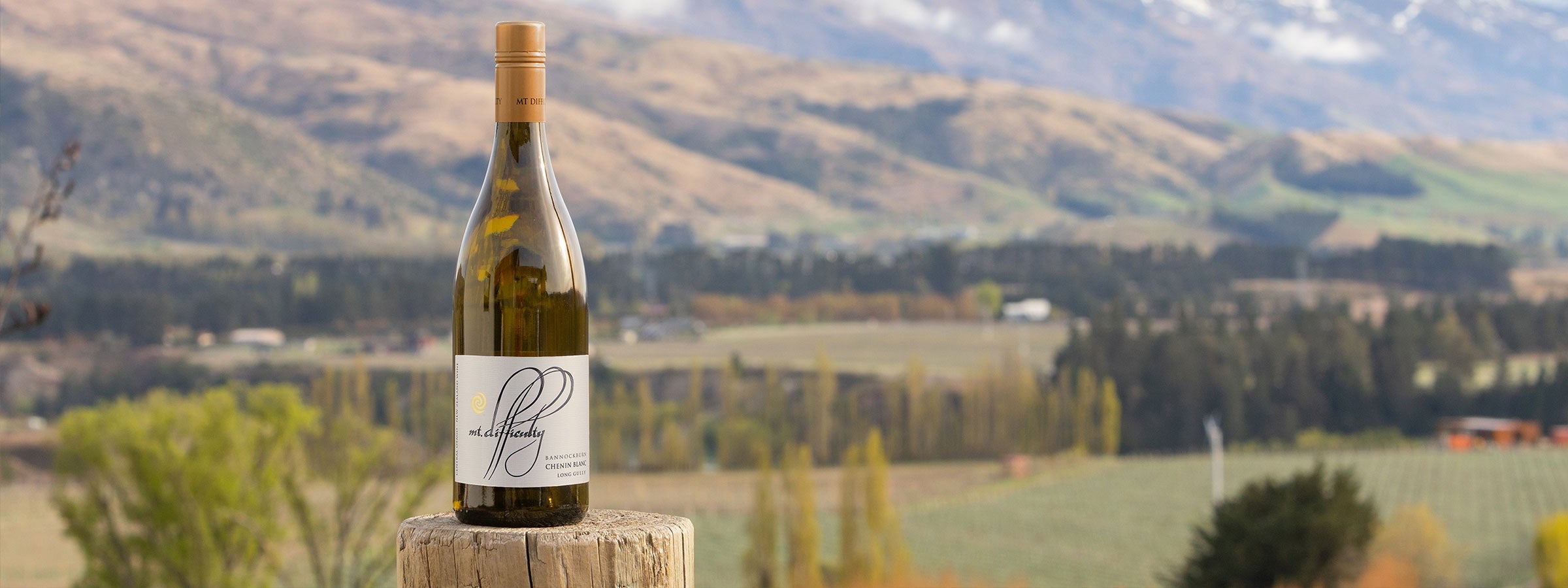 Chenin Blanc