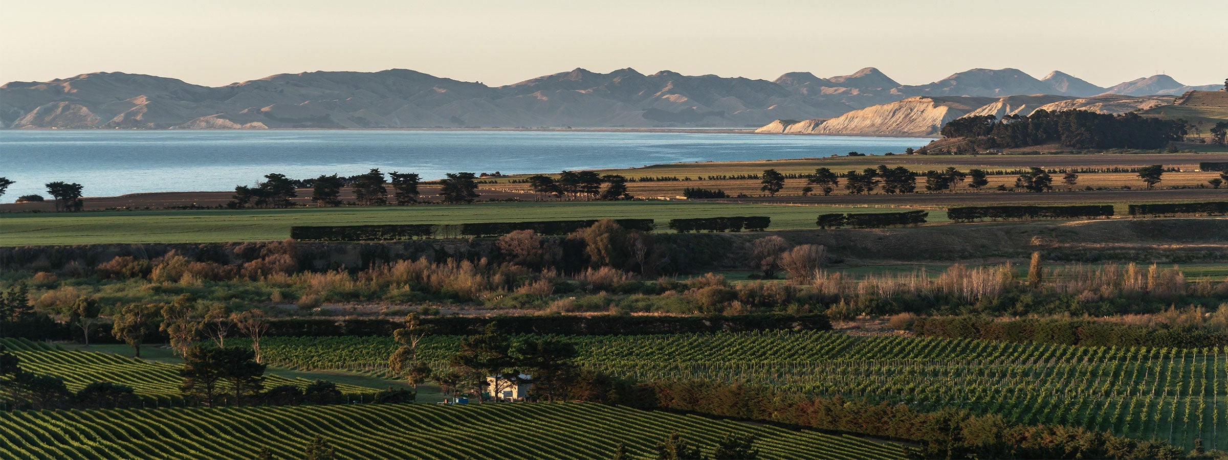 Dashwood Wines