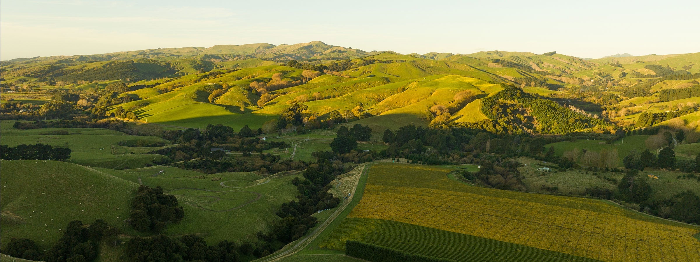 Martinborough