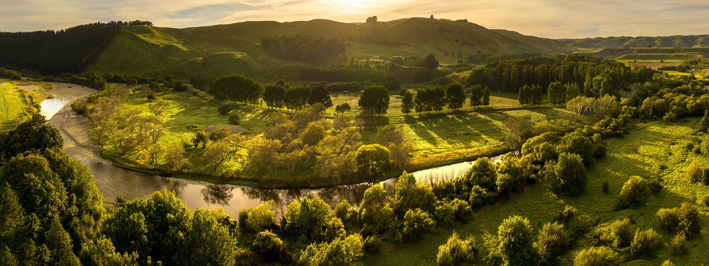 Te Kairanga Landscape