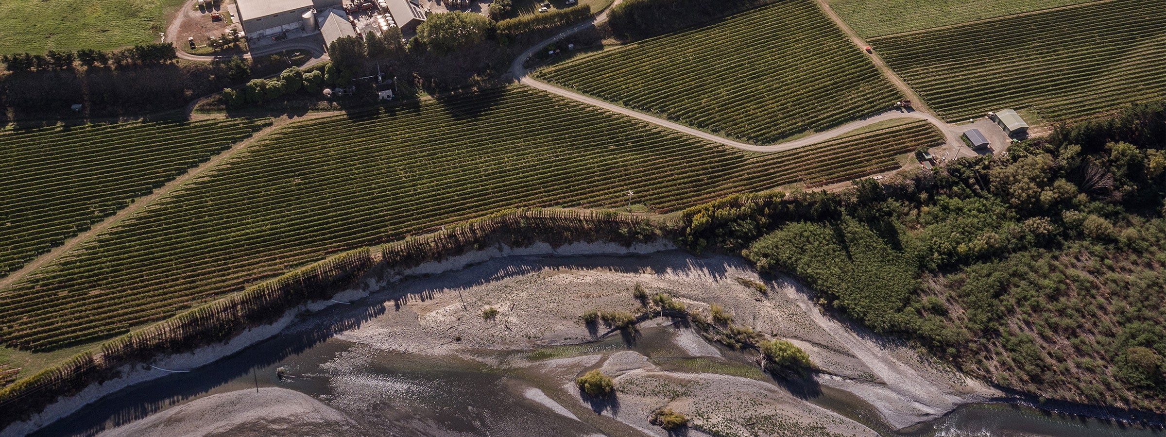 Vavasour birds eye winery