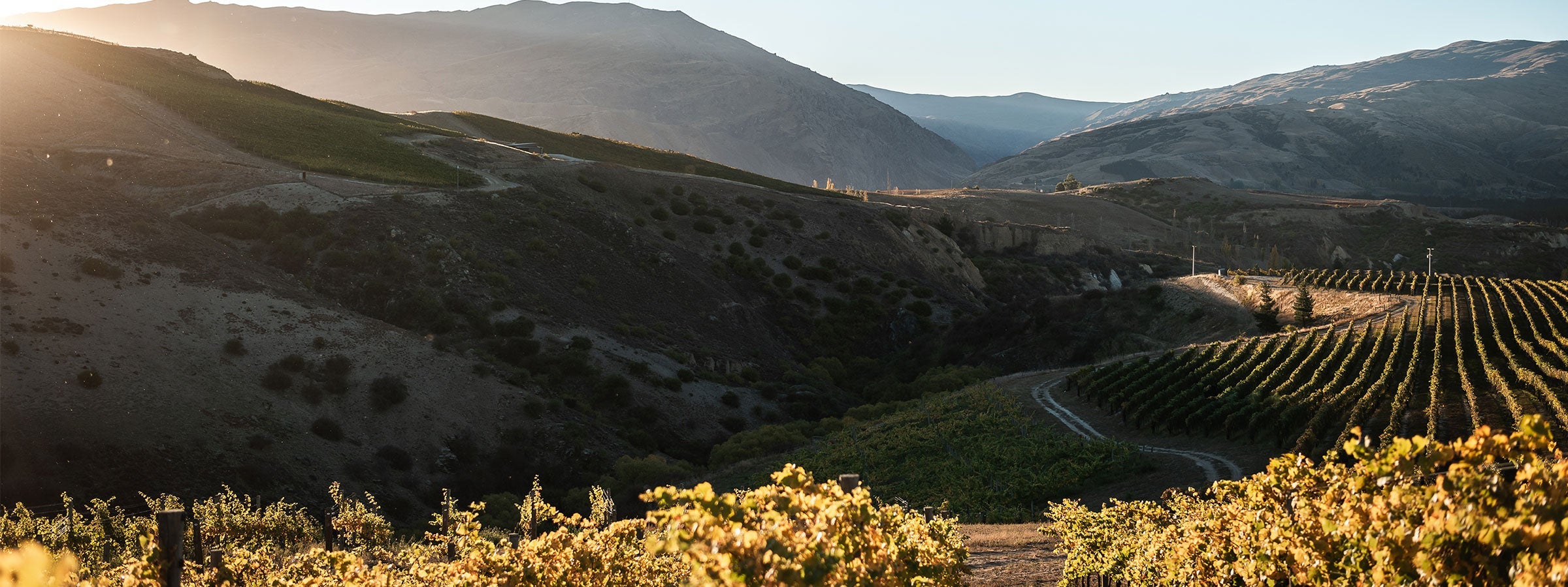 Mt Difficulty | Central Otago New Zealand Wine | Shop Online